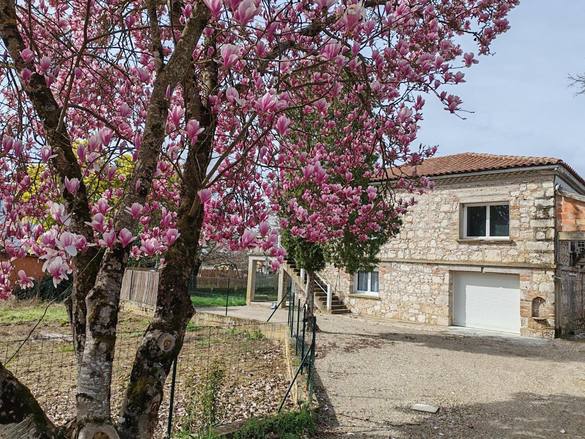 Appartement T3 Neuf Proche Centre Ville, Clim Et Parking Et Centrale Edf Valence-d'Agen Exterior foto